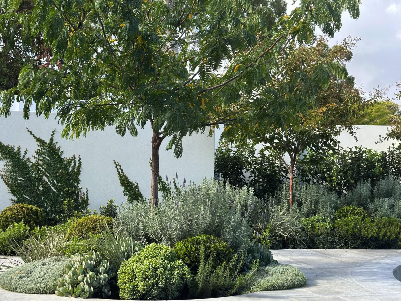 Axis Landscape Solutions Dalkeith 2 9