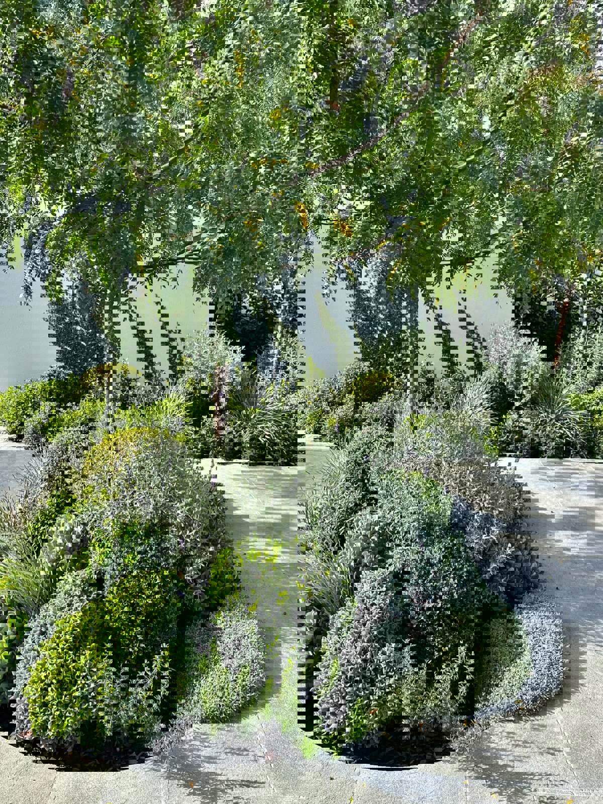 Axis Landscape Solutions Dalkeith 2 4