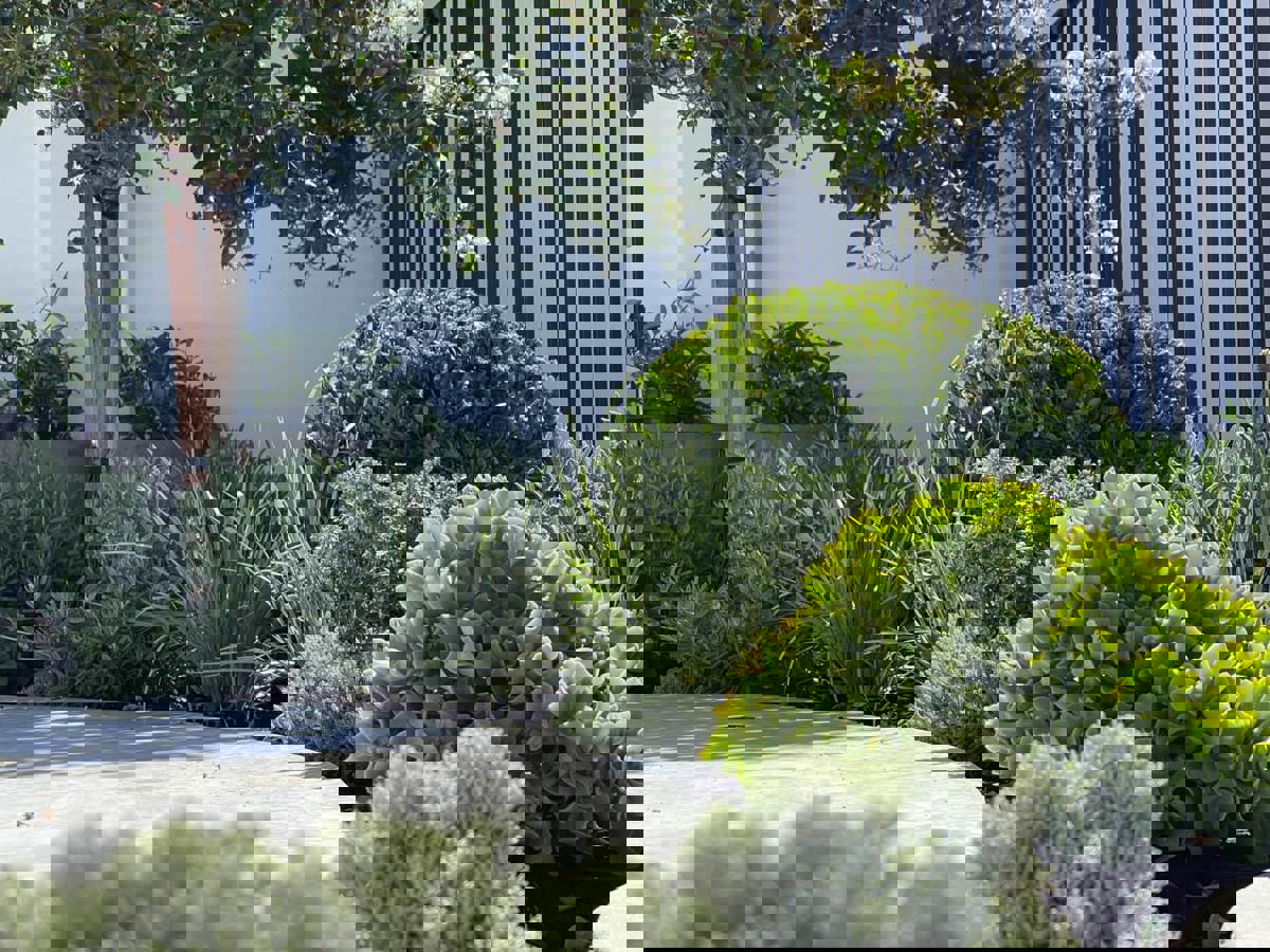 Axis Landscape Solutions Dalkeith 2 24