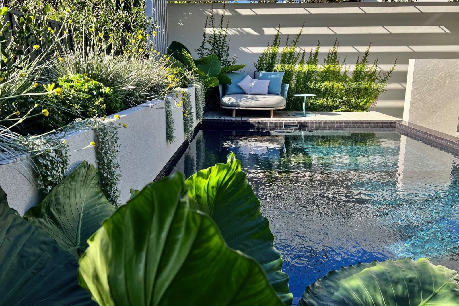 Axis Landscape Solutions Cottesloe 2 2